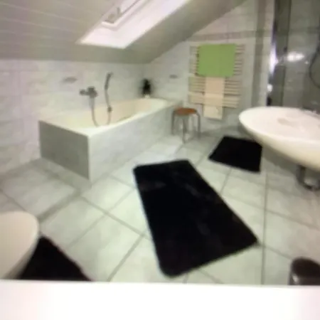 Geiger Apartment *
