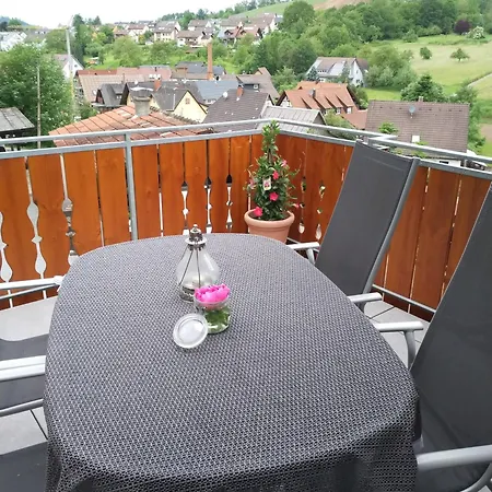 Apartment Geiger