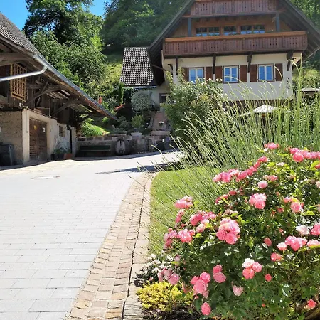 Geiger Apartment Gengenbach